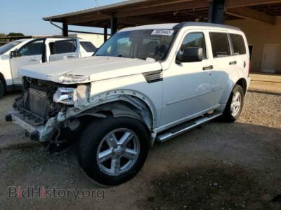 2010 Dodge NITRO Nitro SXT, белый — VIN 1D4PT5GK6AW126262, Copart