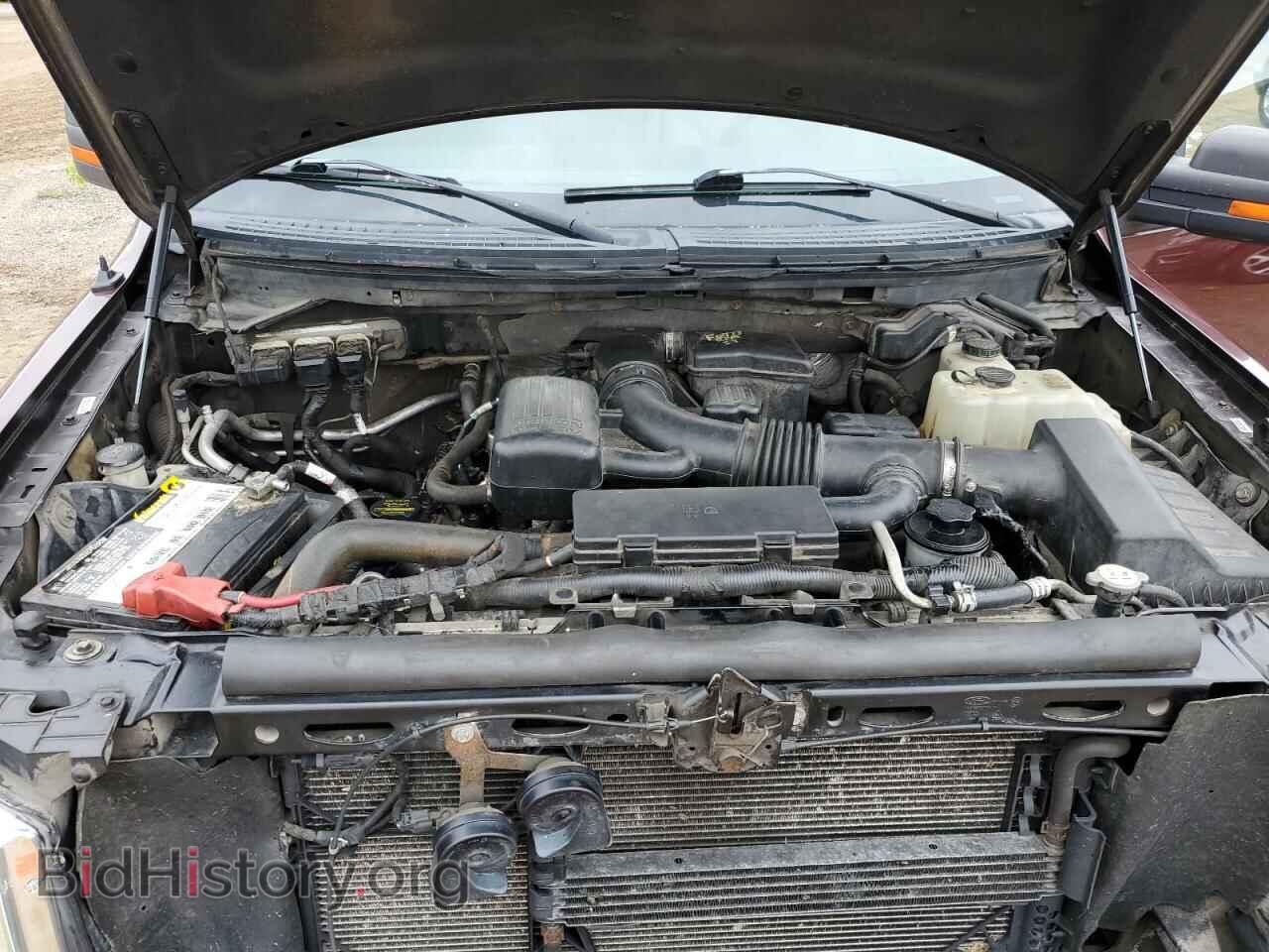 2010 FORD F-150 - VIN: 1FTFX1EV5AFB88285 - Фото 11