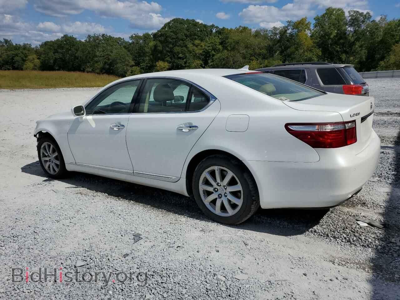 2009 LEXUS LS460 - VIN: JTHCL46F295001706 - Photo 2