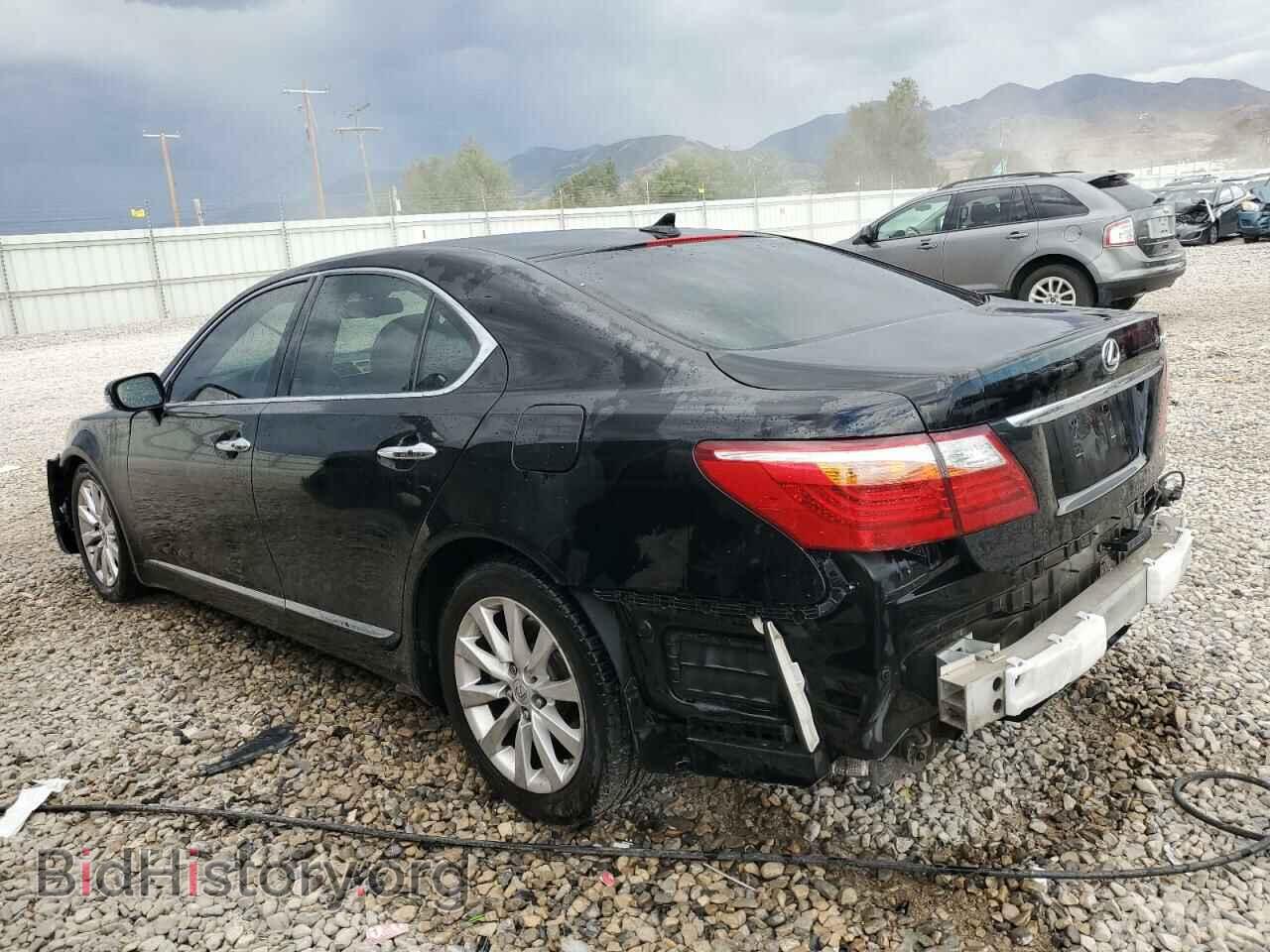 2011 LEXUS LS460 - VIN: JTHCL1EF6B5008941 - Фото 2