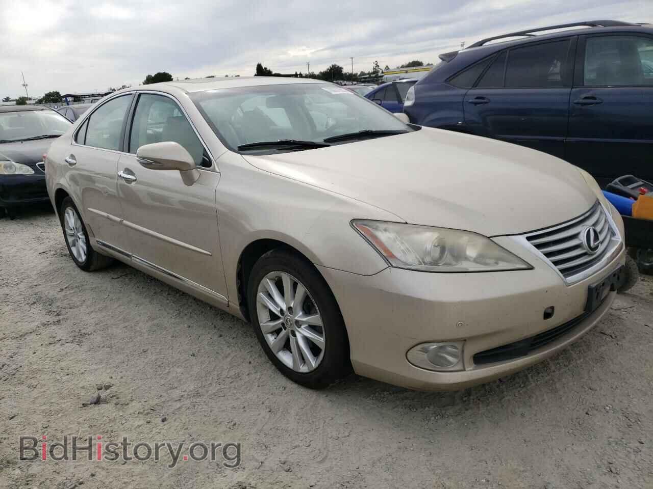 2010 LEXUS ES350 - VIN: JTHBK1EG5A2413907 - Фото 4