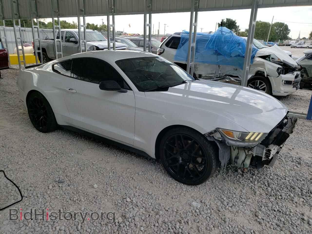 2016 FORD ALL Models - VIN: 1FA6P8THXG5252296 - Photo 4