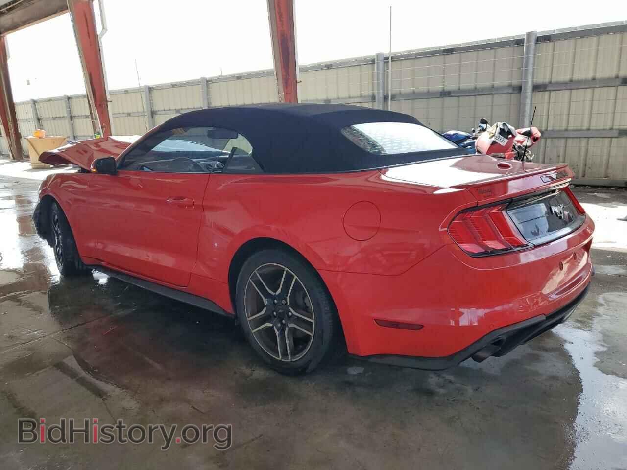 2019 FORD ALL Models - VIN: 1FATP8UH9K5162275 - Photo 2