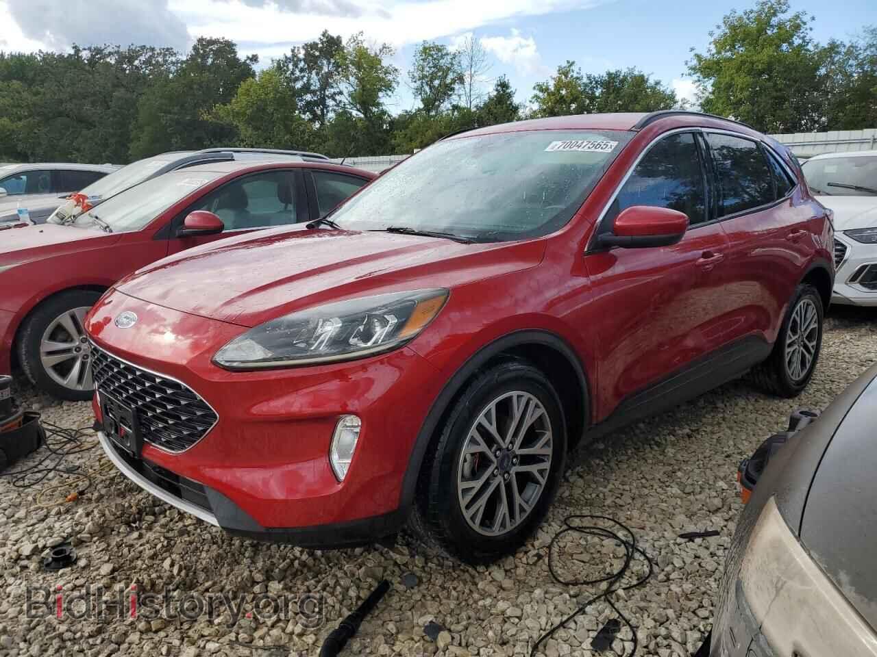 Photo 1FMCU0H66LUA40456 - FORD ESCAPE 2020