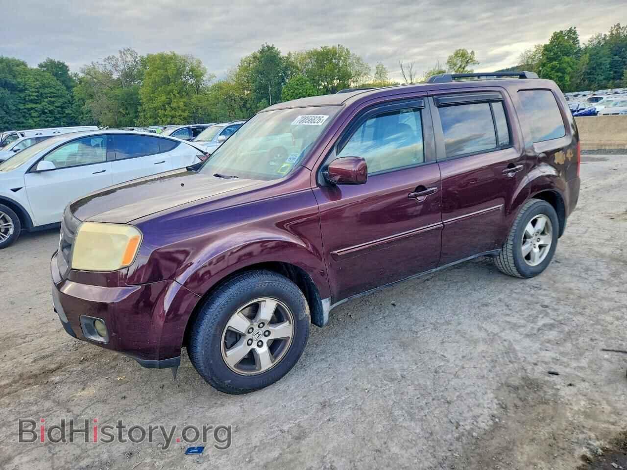 Фотография 5FNYF48539B007144 - HONDA PILOT 2009