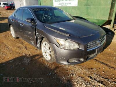 2011 Nissan MAXIMA Maxima S, серый — VIN 1N4AA5AP5BC830832, Copart