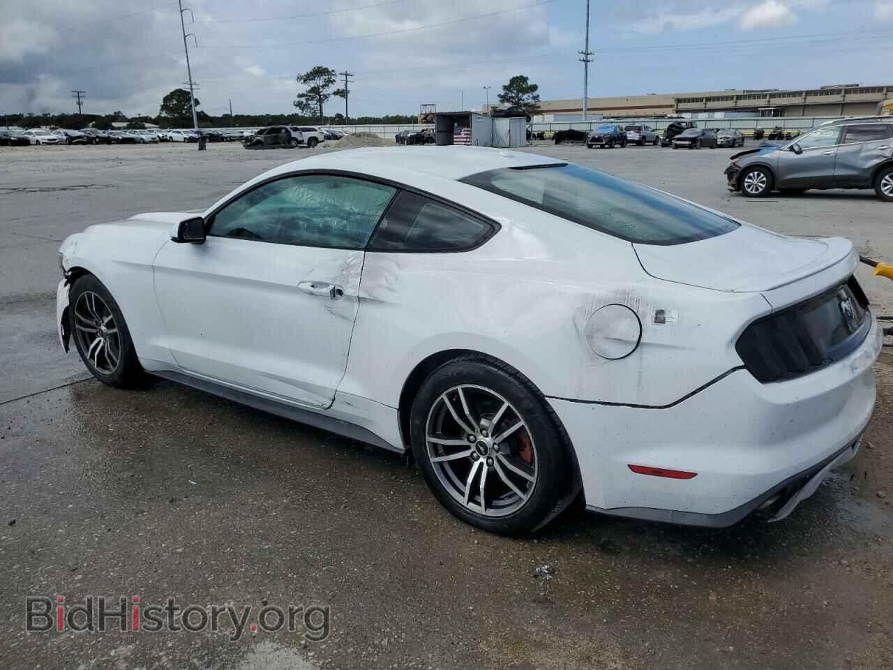 2017 FORD ALL Models - VIN: 1FA6P8TH1H5310698 - Фото 2