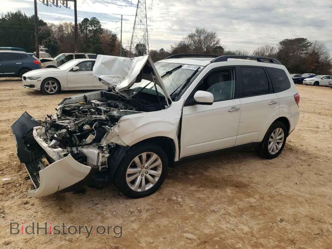 Photo JF2SHAEC8BH702471 - SUBARU FORESTER 2011
