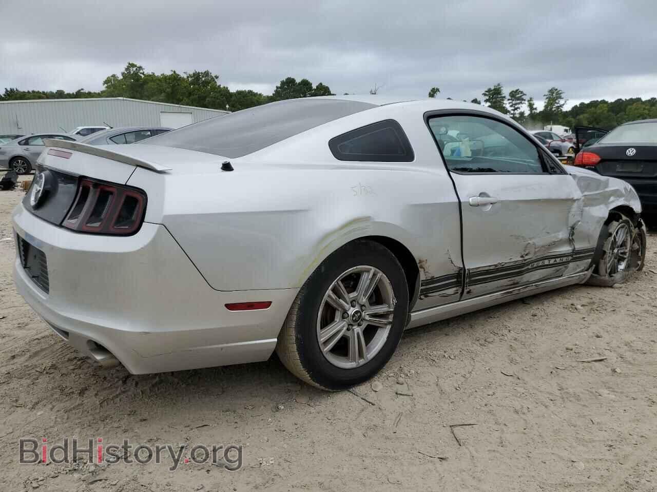 2013 FORD ALL Models - VIN: 1ZVBP8AMXD5255619 - Фото 3