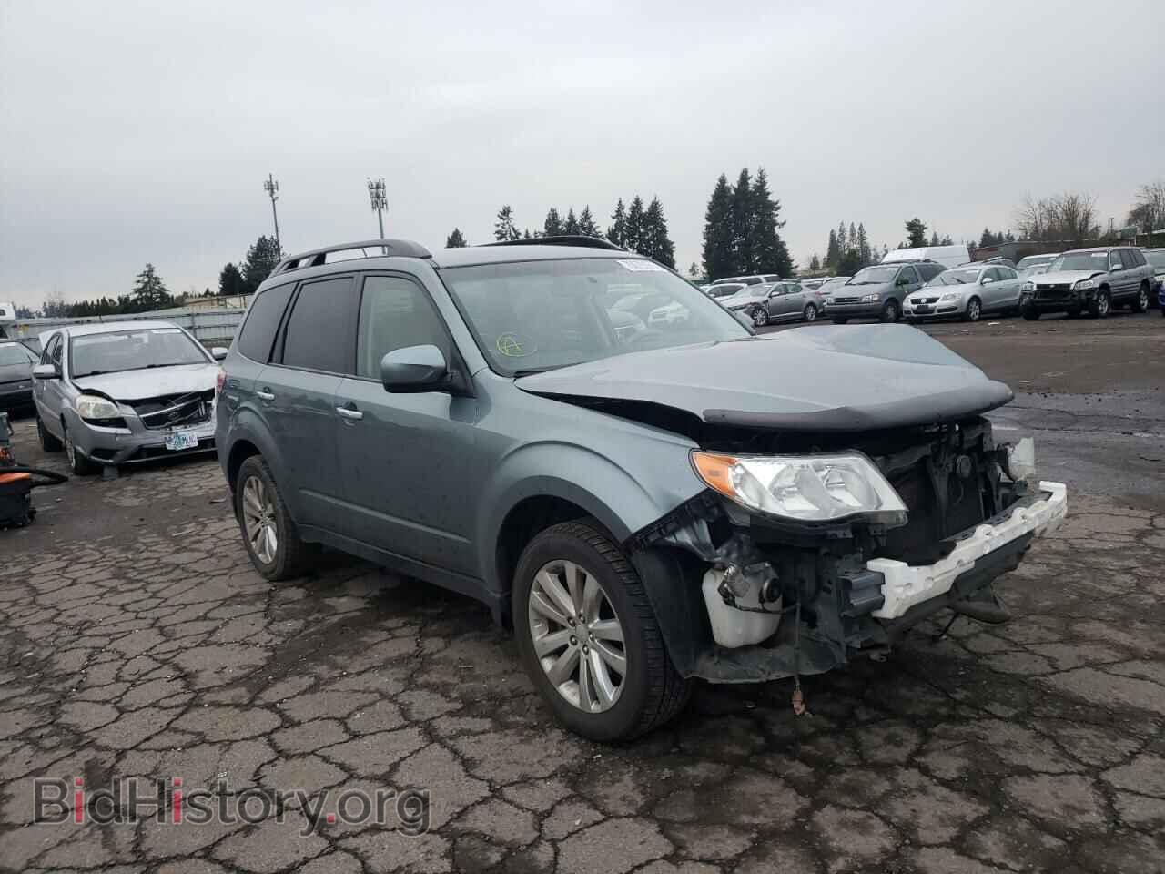 Фотография JF2SHADC8DG417800 - SUBARU FORESTER 2013