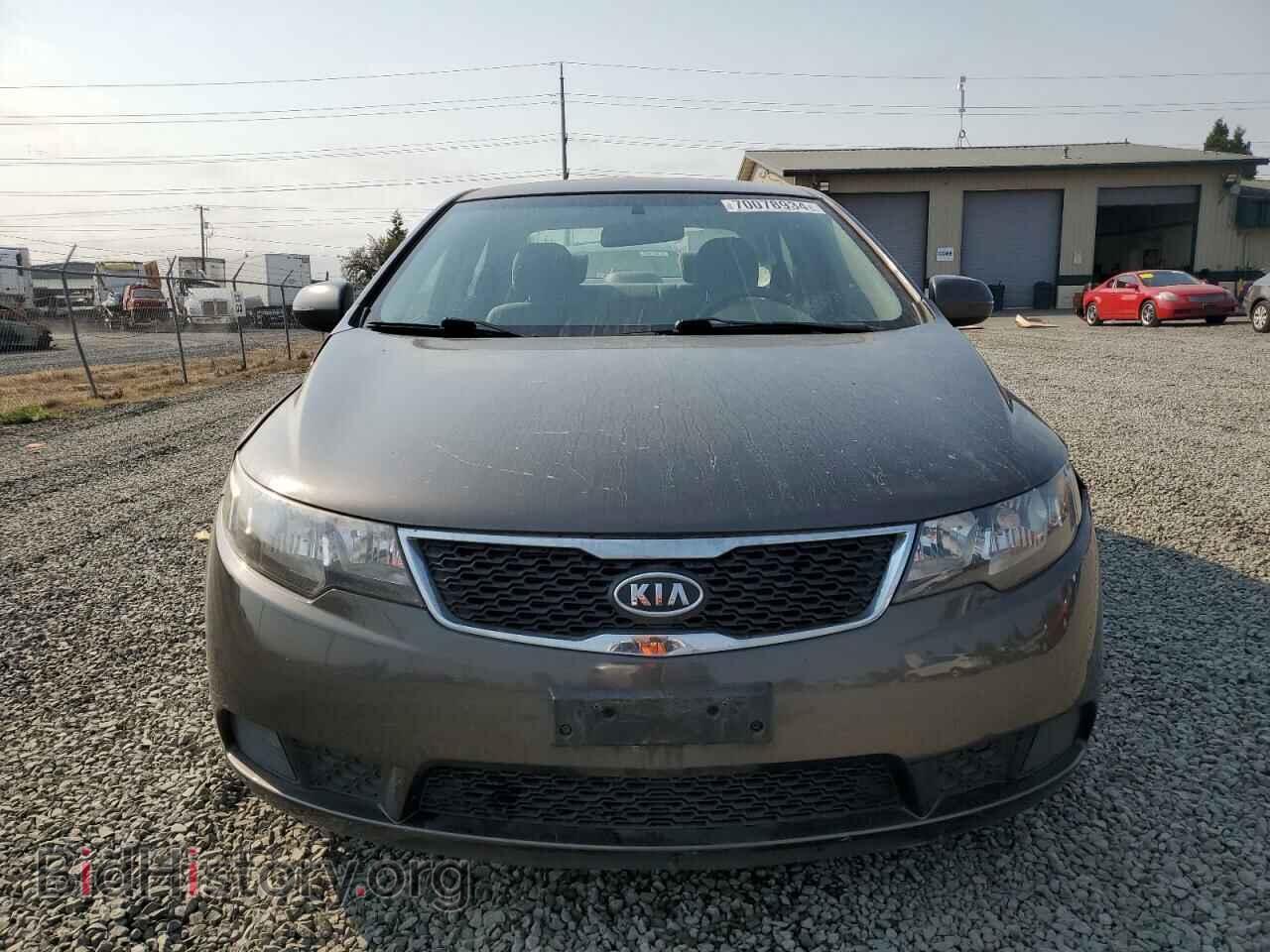 2011 KIA FORTE - VIN: KNAFU4A29B5448164 - Фото 5