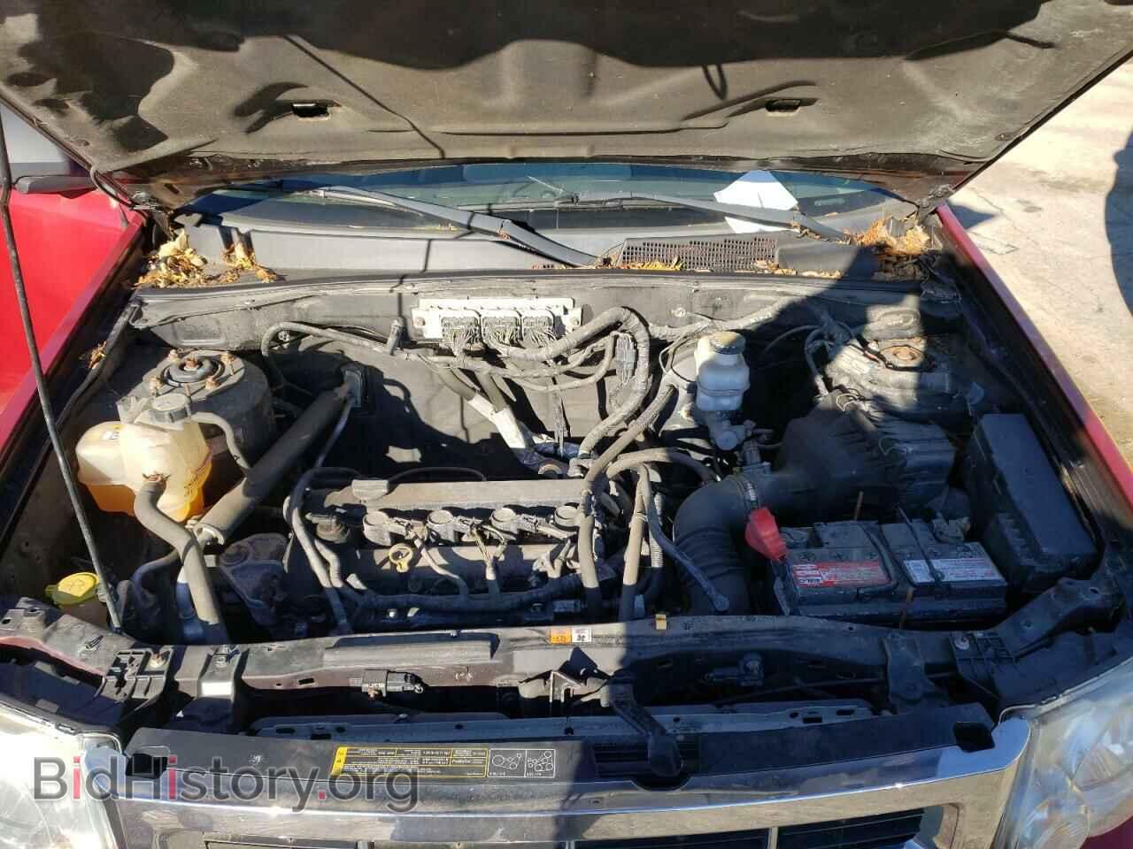 2010 FORD ESCAPE - VIN: 1FMCU0C73AKC46259 - Фото 7