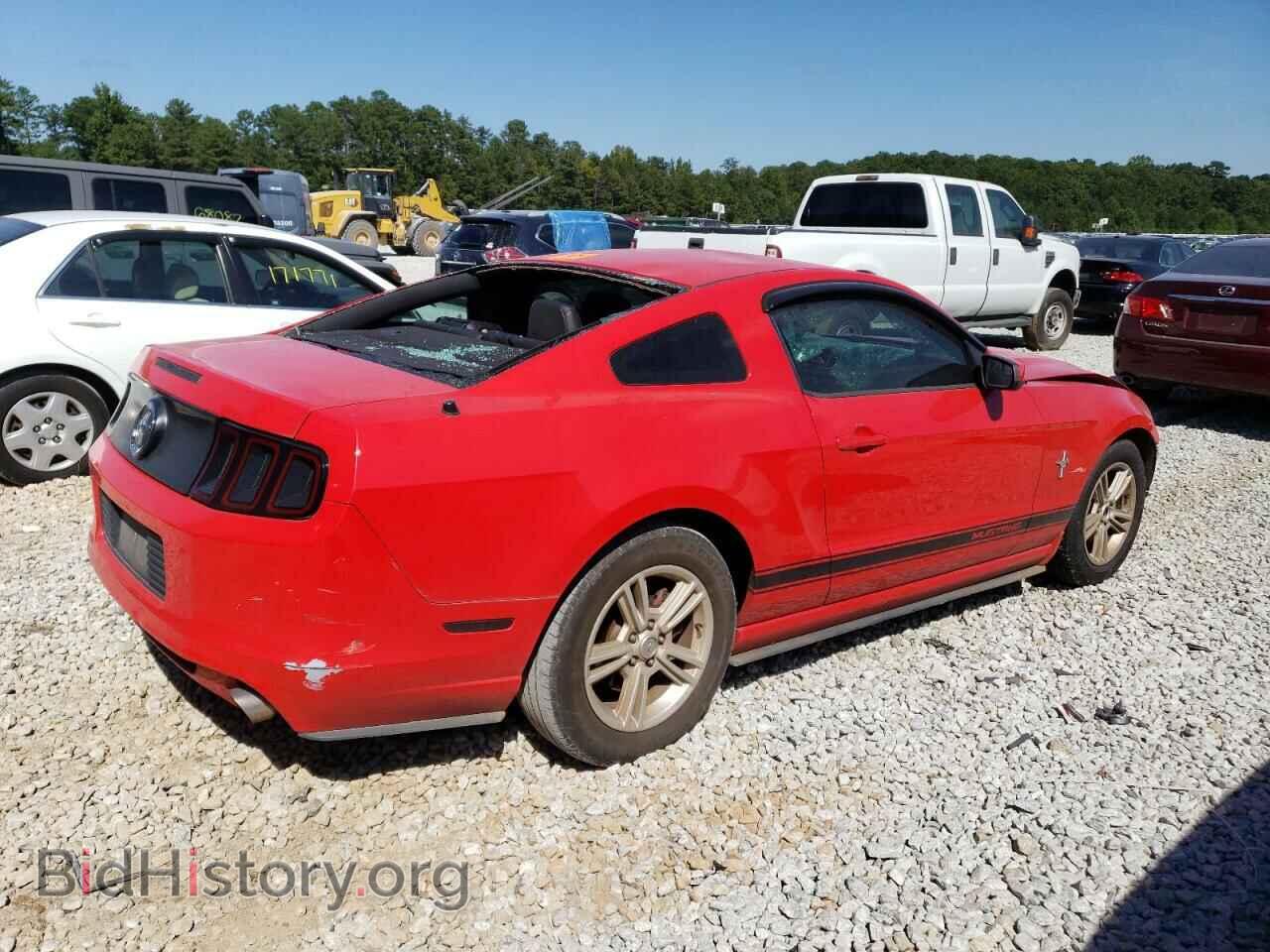 2013 FORD ALL Models - VIN: 1ZVBP8AM6D5275916 - Фото 3