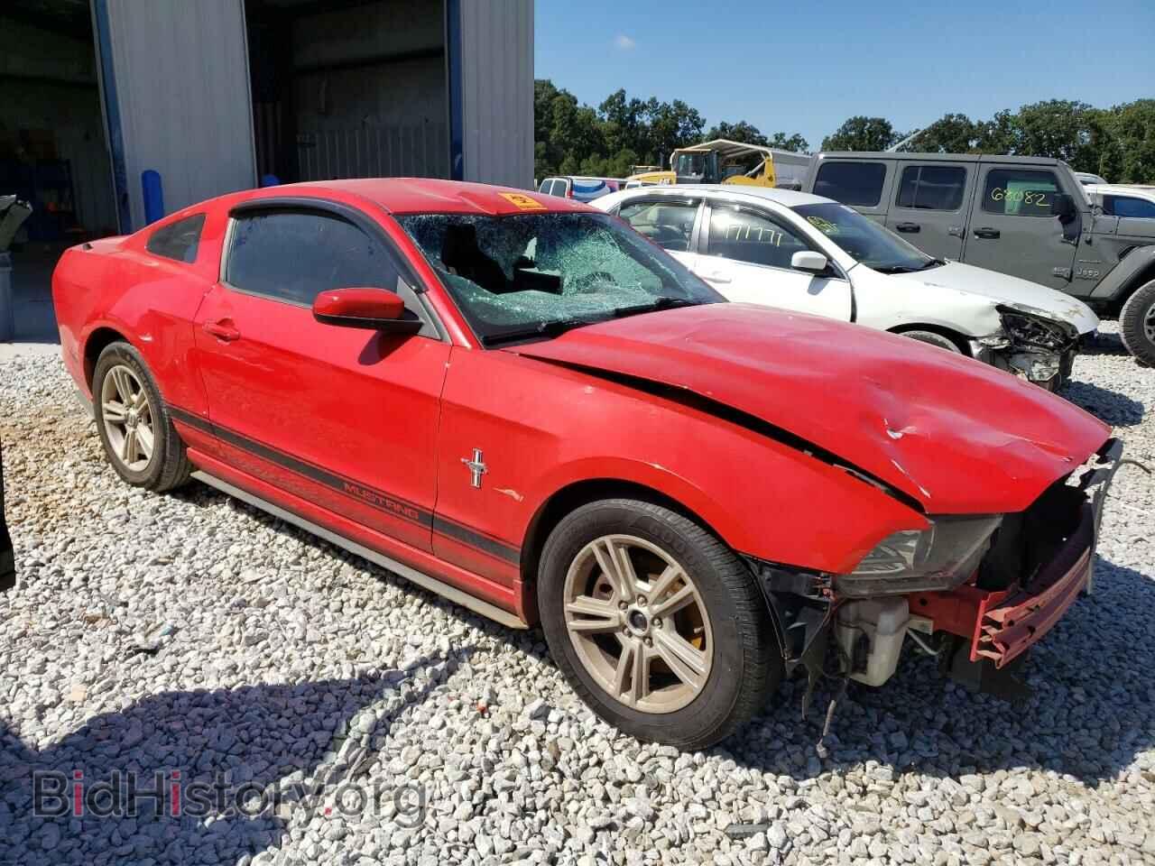 2013 FORD ALL Models - VIN: 1ZVBP8AM6D5275916 - Фото 4