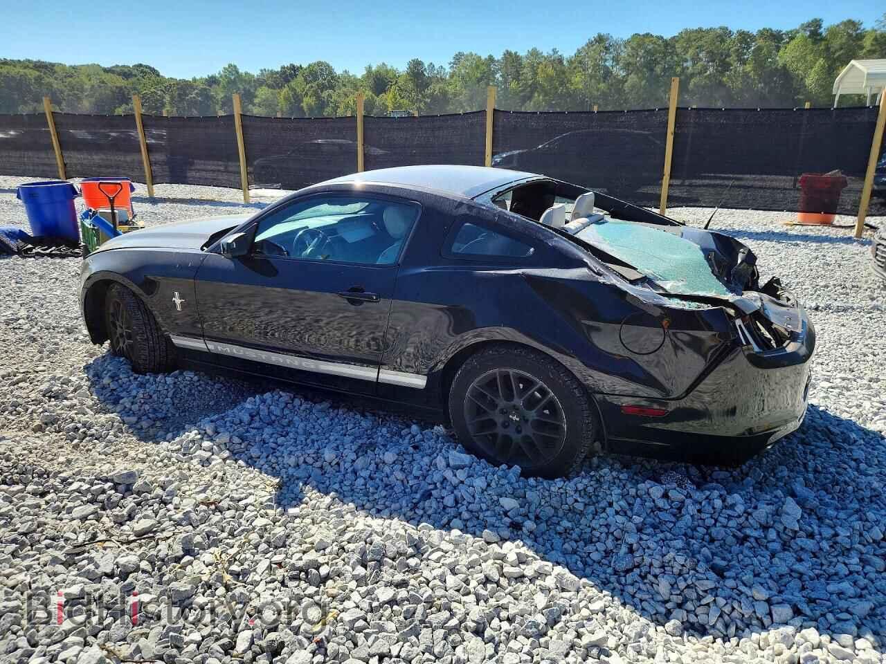 2014 FORD MUSTANG - VIN: 1ZVBP8AM9E5282134 - Фото 2