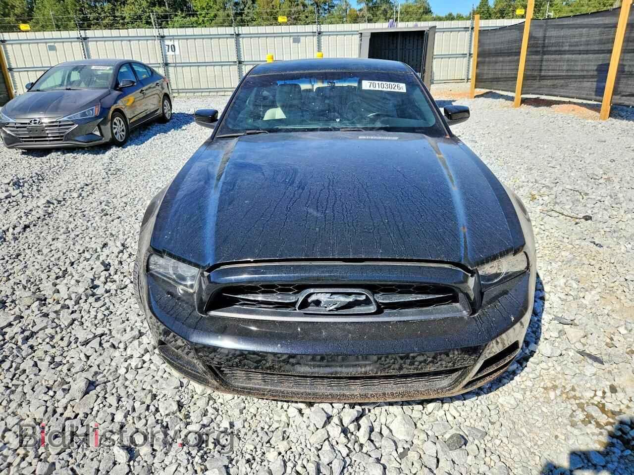 2014 FORD MUSTANG - VIN: 1ZVBP8AM9E5282134 - Фото 5