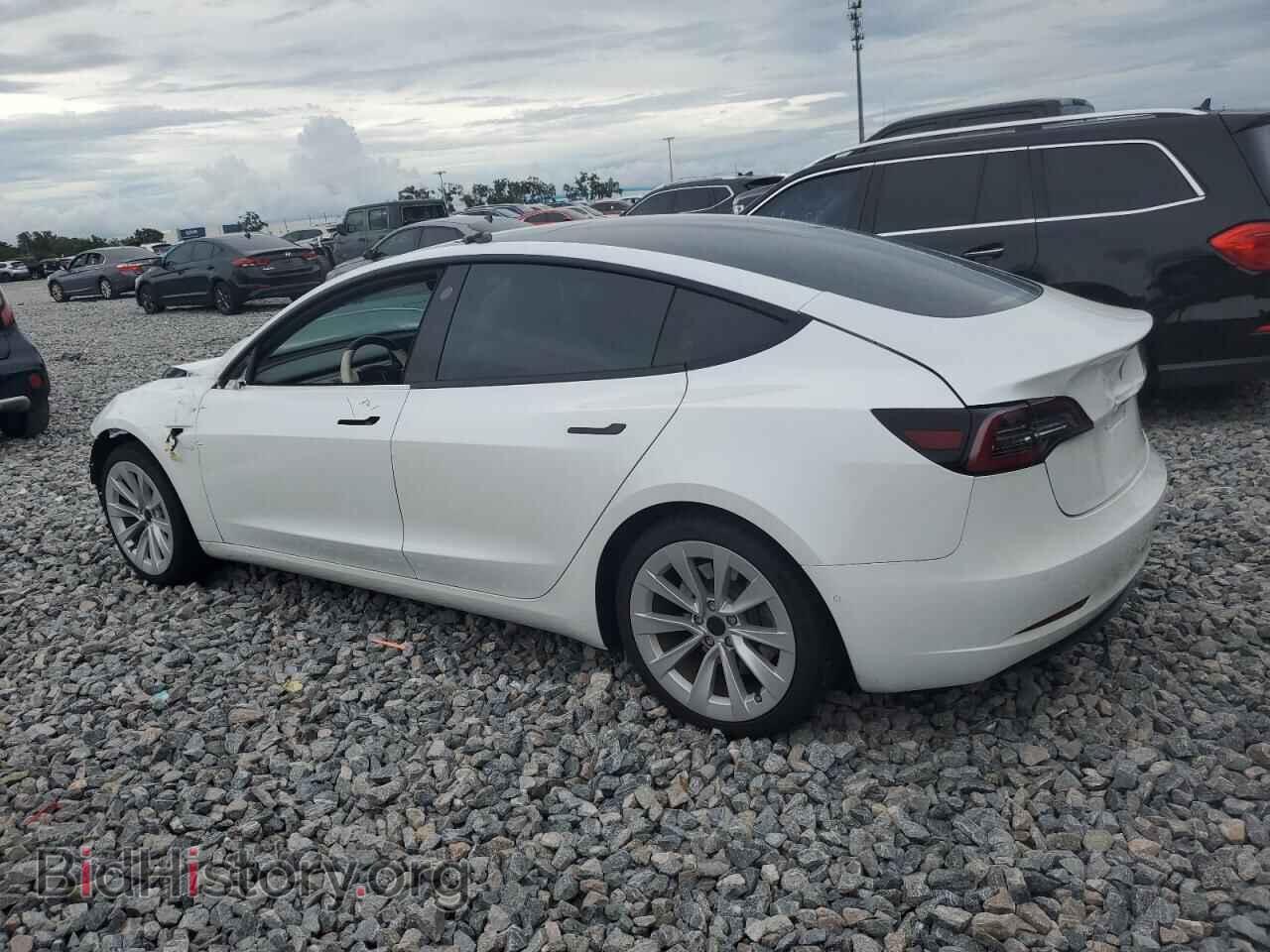 2021 TESLA MODEL 3 - VIN: 5YJ3E1EA3MF856731 - Photo 2