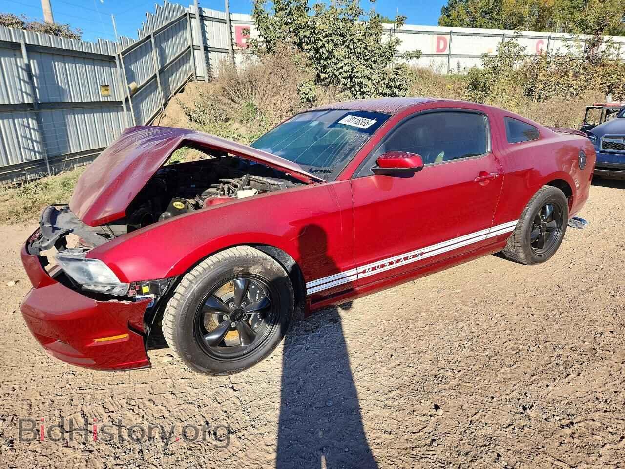 Photo 1ZVBP8AM9E5312992 - FORD MUSTANG 2014