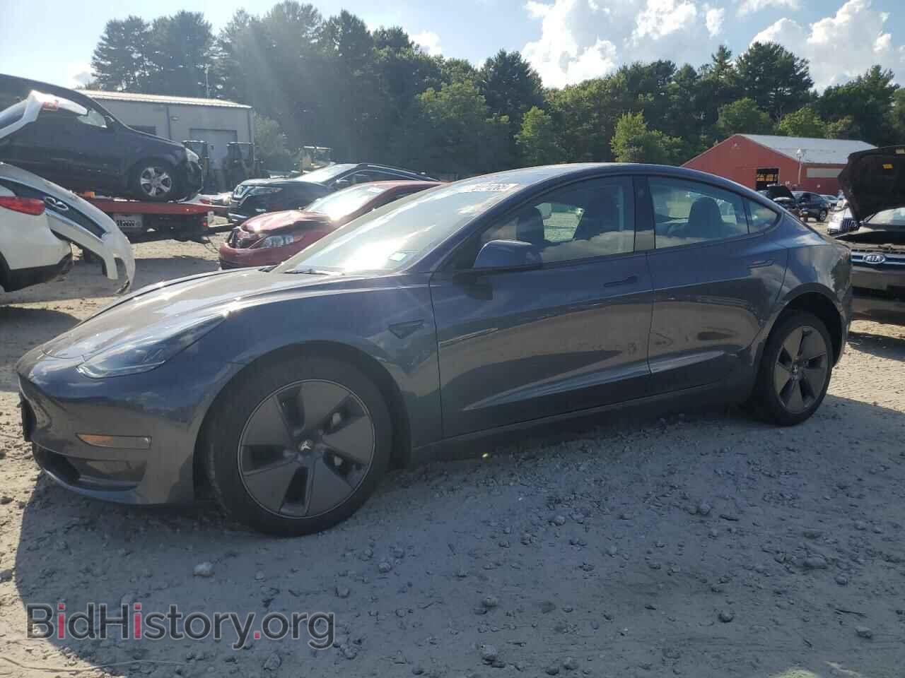Photo 5YJ3E1EB2PF714352 - TESLA MODEL 3 2023