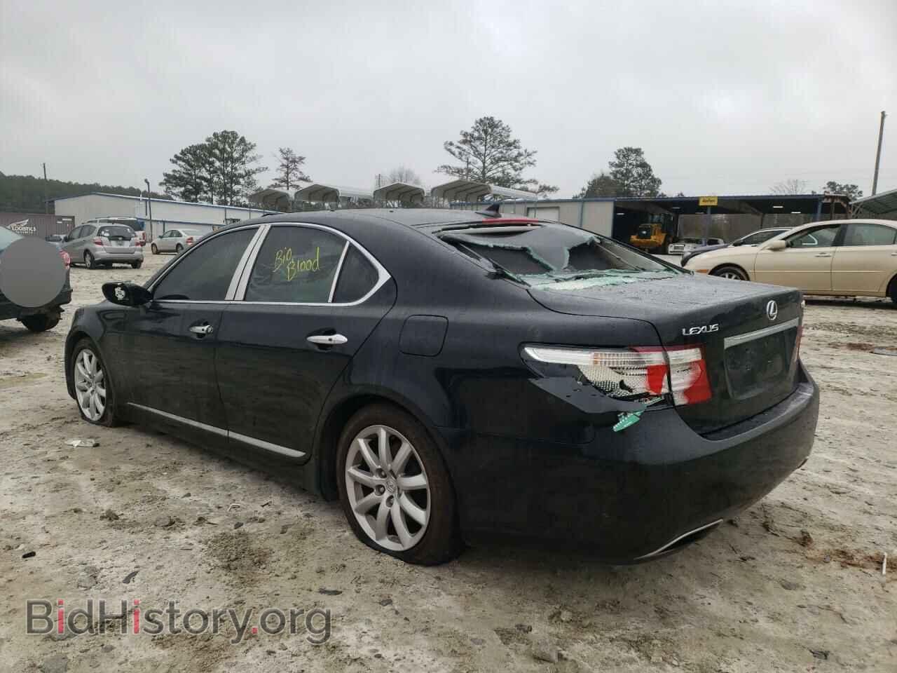 2007 LEXUS LS460 - VIN: JTHBL46FX75008928 - Фото 3