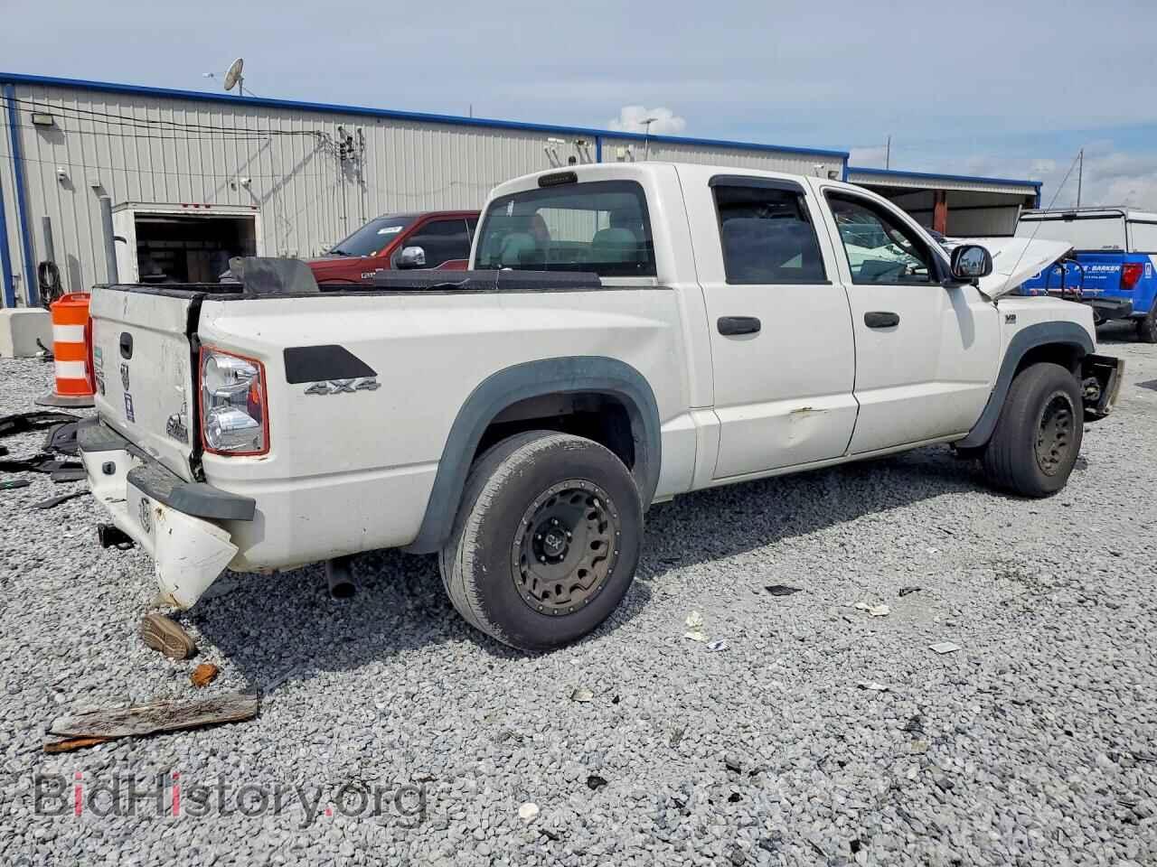 2010 DODGE DAKOTA - VIN: 1D7RW3GP4AS264246 - Фото 3