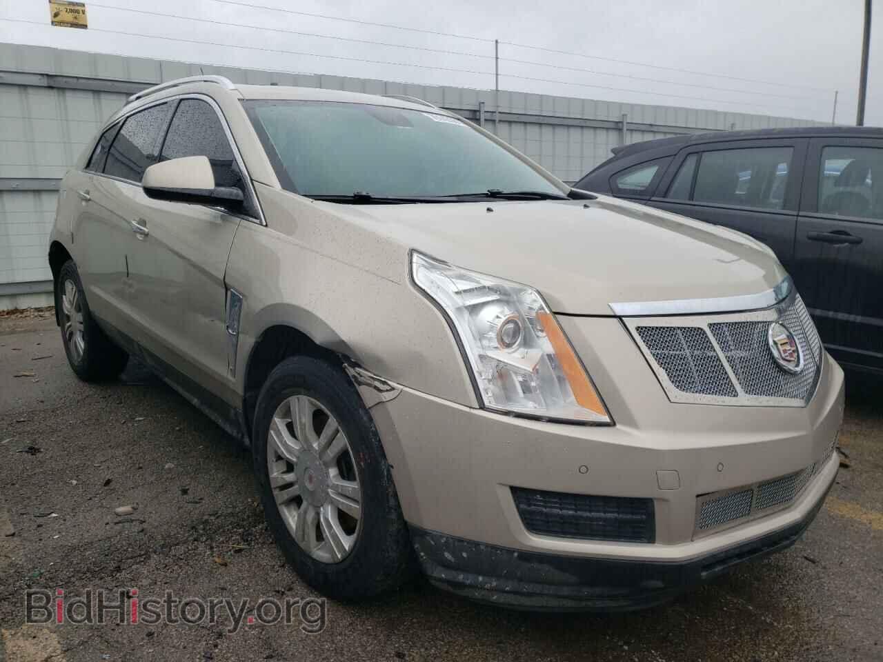 Photo 3GYFNAEY7BS674796 - CADILLAC SRX 2011