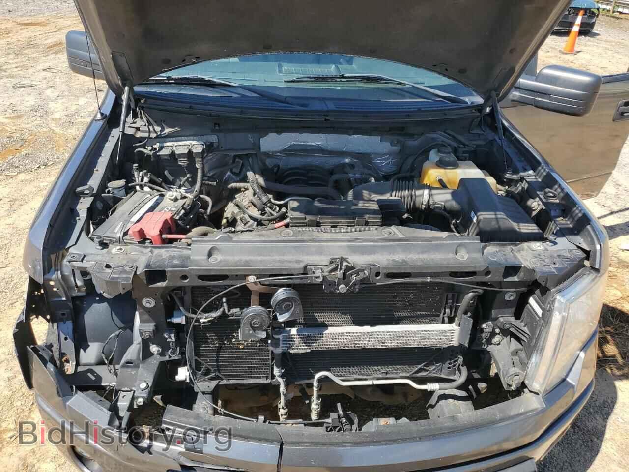 2013 FORD F-150 - VIN: 1FTFX1EFXDFD98393 - Фото 11