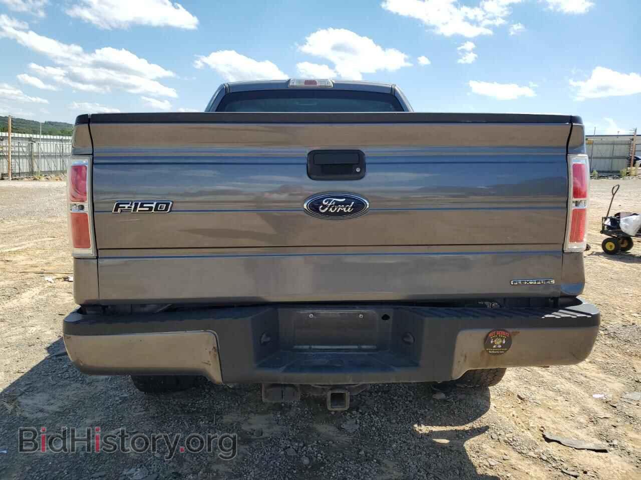 2013 FORD F-150 - VIN: 1FTFX1EFXDFD98393 - Фото 6