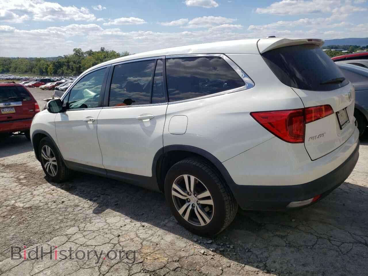 2017 HONDA PILOT - VIN: 5FNYF6H55HB044402 - Фото 2