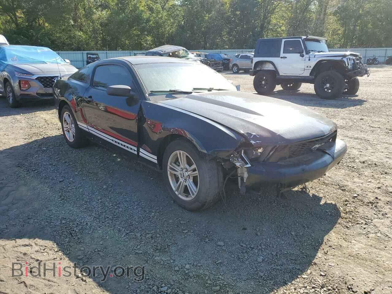 2011 FORD ALL Models - VIN: 1ZVBP8AM7B5135323 - Фото 4