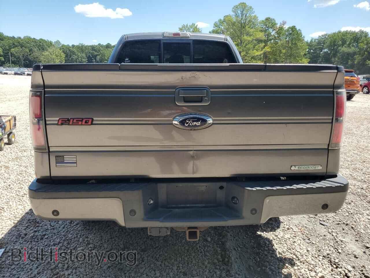 2013 FORD F-150 - VIN: 1FTFW1CT0DFC44531 - Фото 6