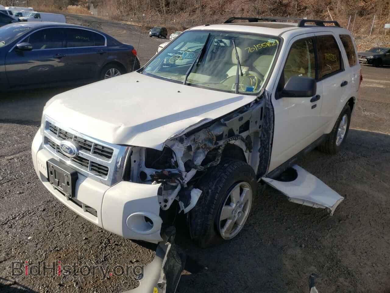 2011 FORD ESCAPE - VIN: 1FMCU0DG4BKA66613 - Фото 2