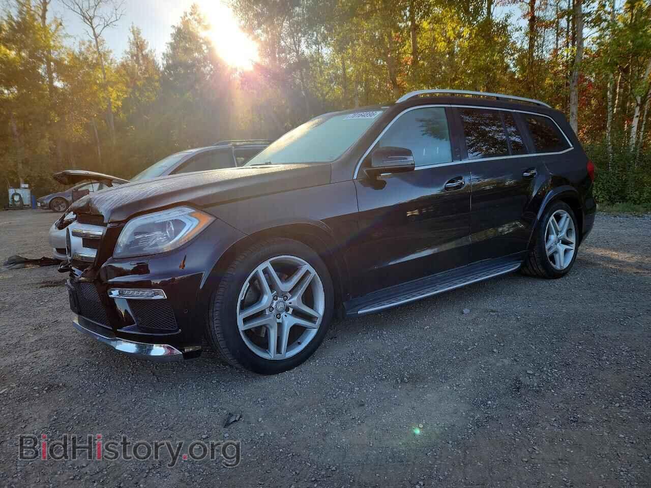 Photo 4JGDF2EE7EA275555 - MERCEDES-BENZ GL-CLASS 2014