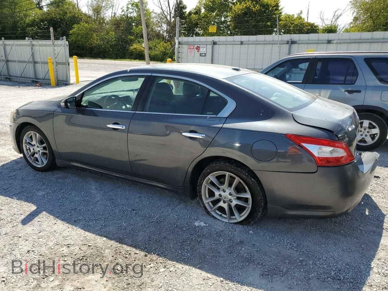 2011 NISSAN MAXIMA - VIN: 1N4AA5AP1BC818063 - Фото 2