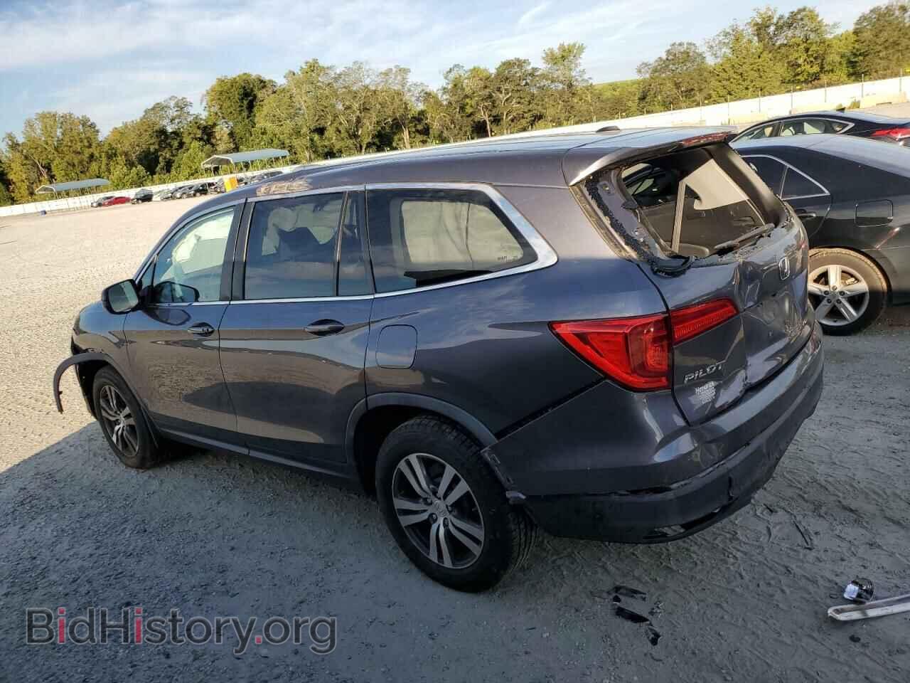 2017 HONDA PILOT - VIN: 5FNYF5H57HB036828 - Фото 2