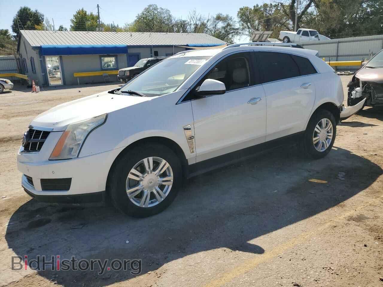 Фотография 3GYFNAE39CS660131 - CADILLAC SRX 2012