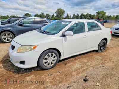 2010 Toyota COROLLA LE, белый — VIN 1NXBU4EE5AZ258559, Copart