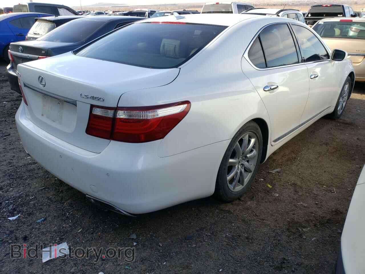 2007 LEXUS LS460 - VIN: JTHBL46FX75006905 - Фото 3