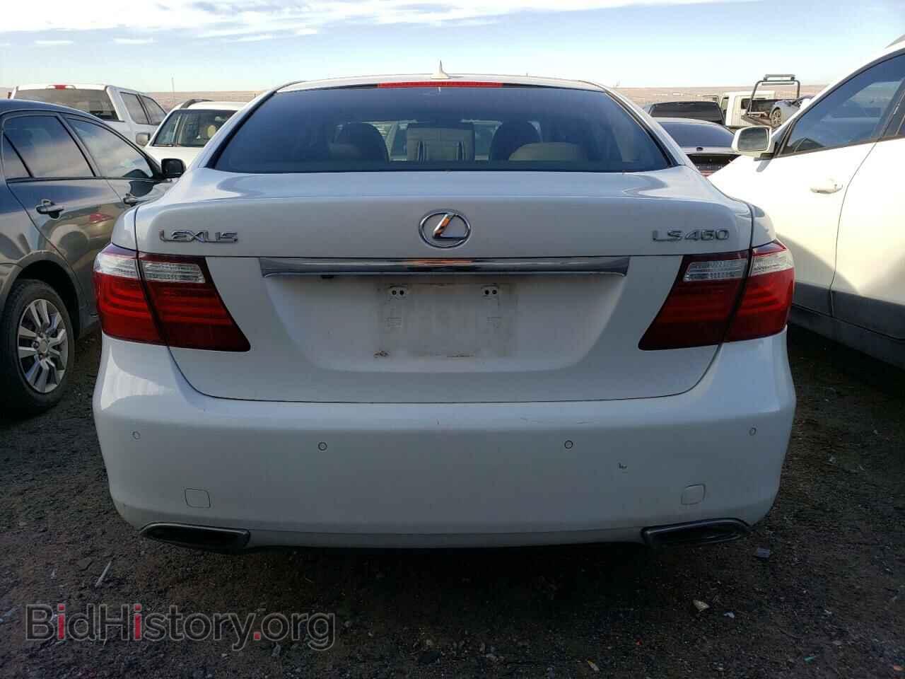 2007 LEXUS LS460 - VIN: JTHBL46FX75006905 - Фото 6