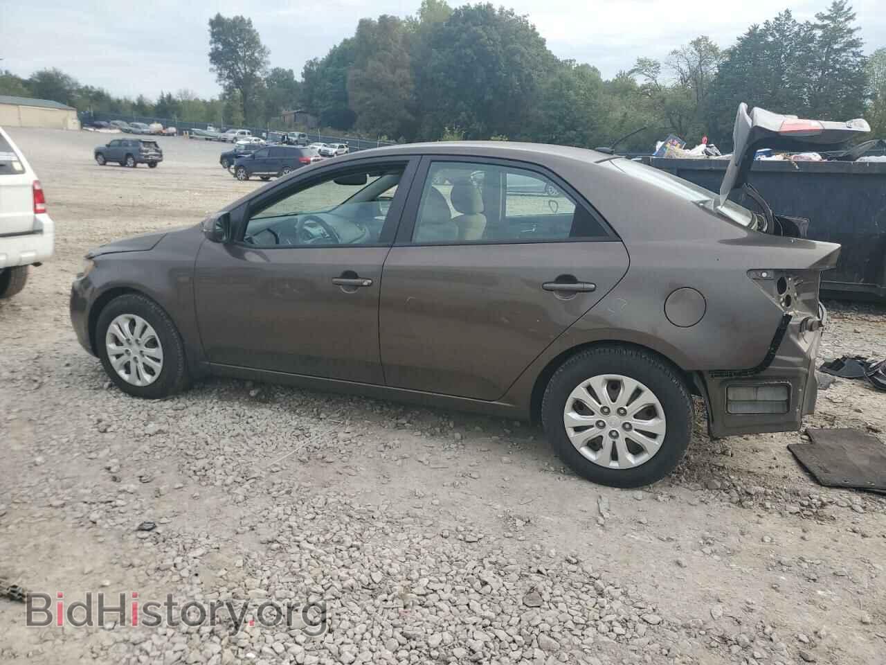 2013 KIA FORTE - VIN: KNAFU4A21D5694807 - Фото 2