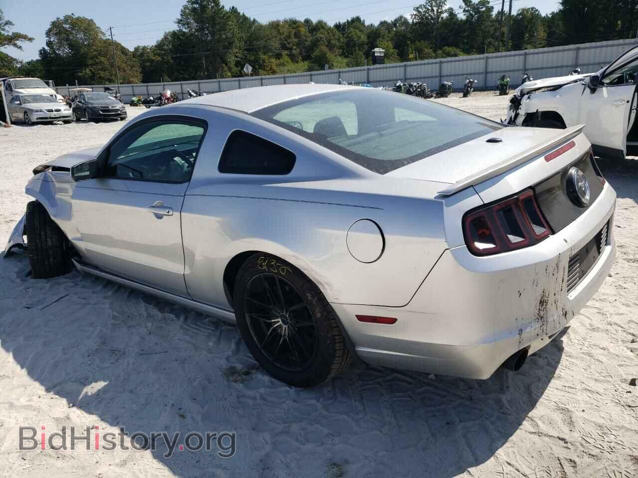 2013 FORD ALL Models - VIN: 1ZVBP8AM2D5220699 - Фото 2