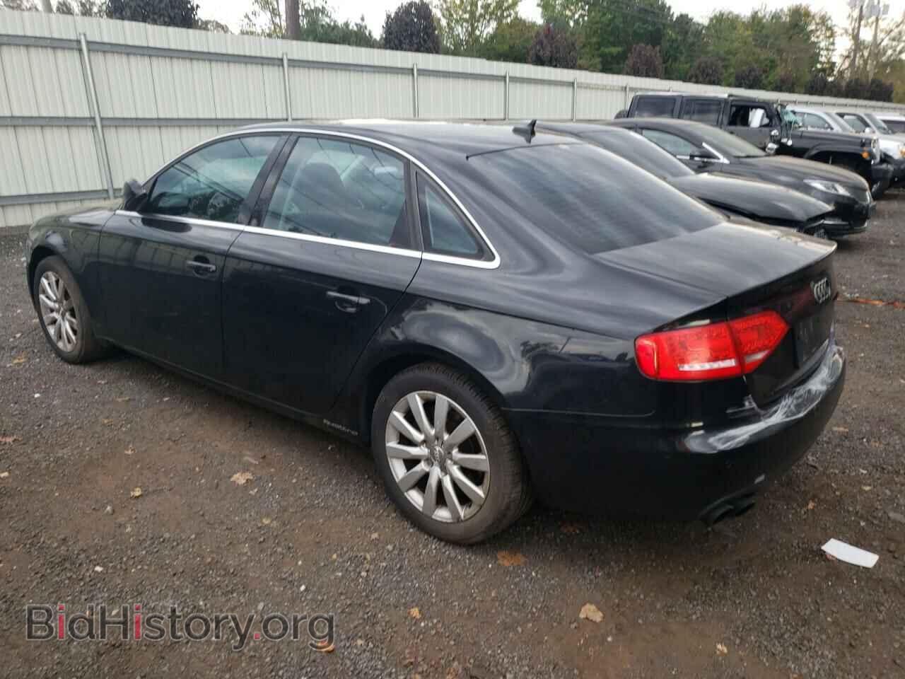 2010 AUDI A4 - VIN: WAUFFAFL6AN001140 - Фото 2