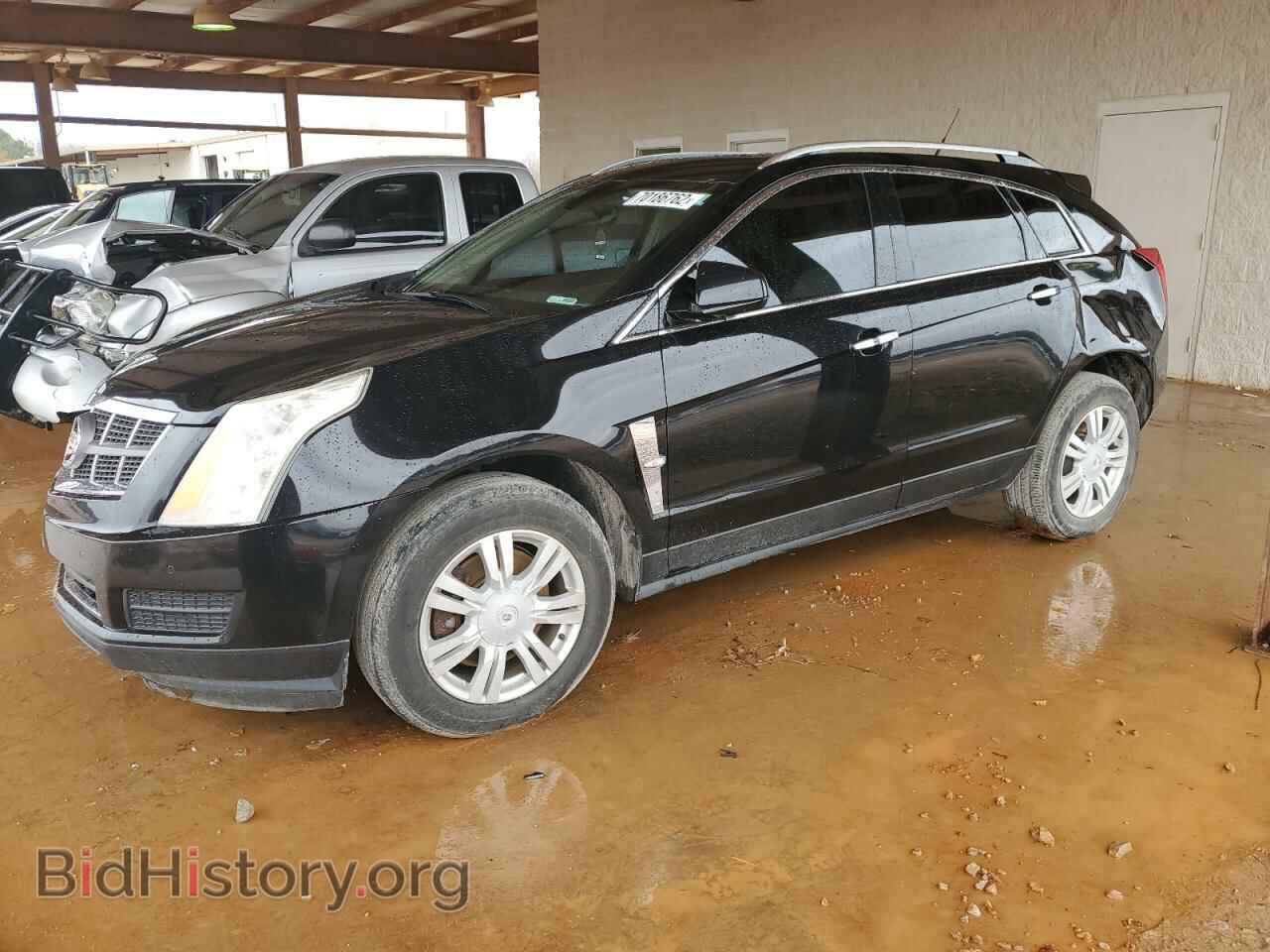 Photo 3GYFNAEYXAS596061 - CADILLAC SRX 2010