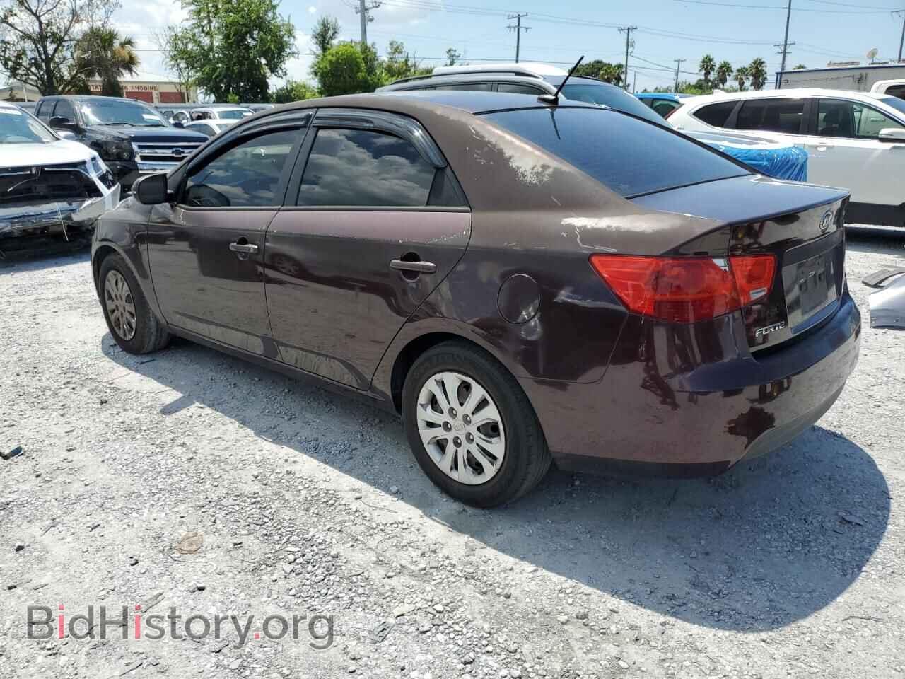 2011 KIA FORTE - VIN: KNAFU4A29B5354561 - Фото 2