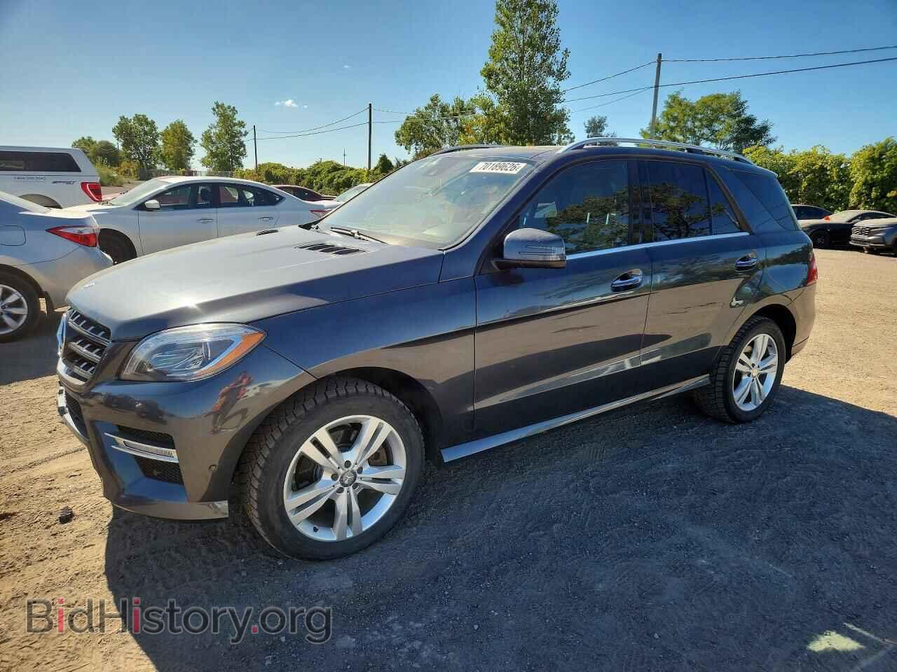 Photo 4JGDA2EB1EA434476 - MERCEDES-BENZ M-CLASS 2014