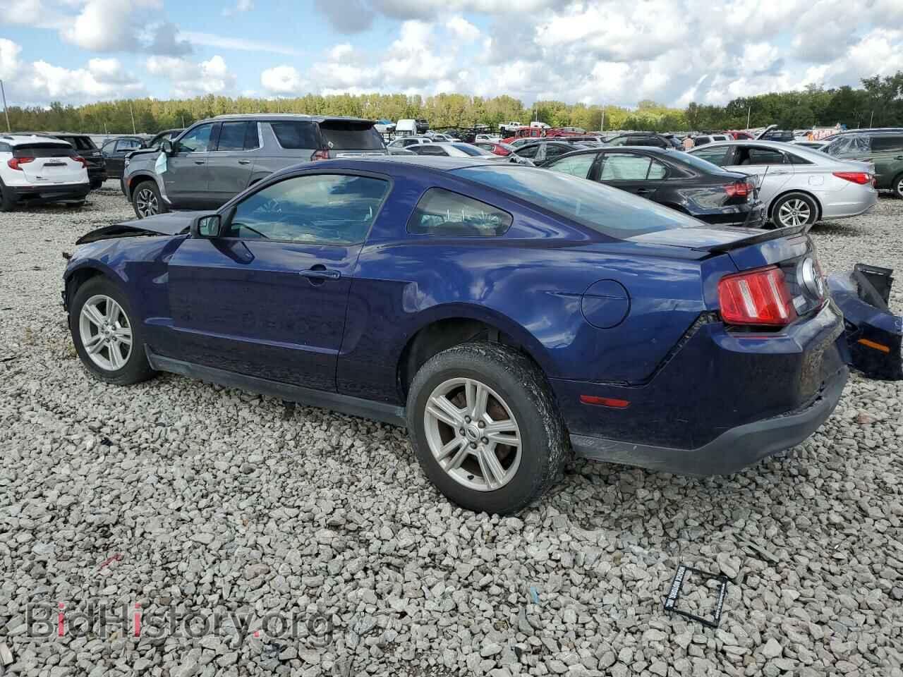 2012 FORD ALL Models - VIN: 1ZVBP8AM6C5281276 - Фото 2