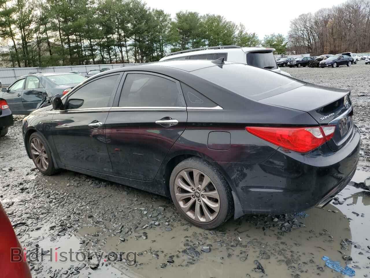 2013 HYUNDAI SONATA - VIN: 5NPEC4AC7DH531041 - Фото 2