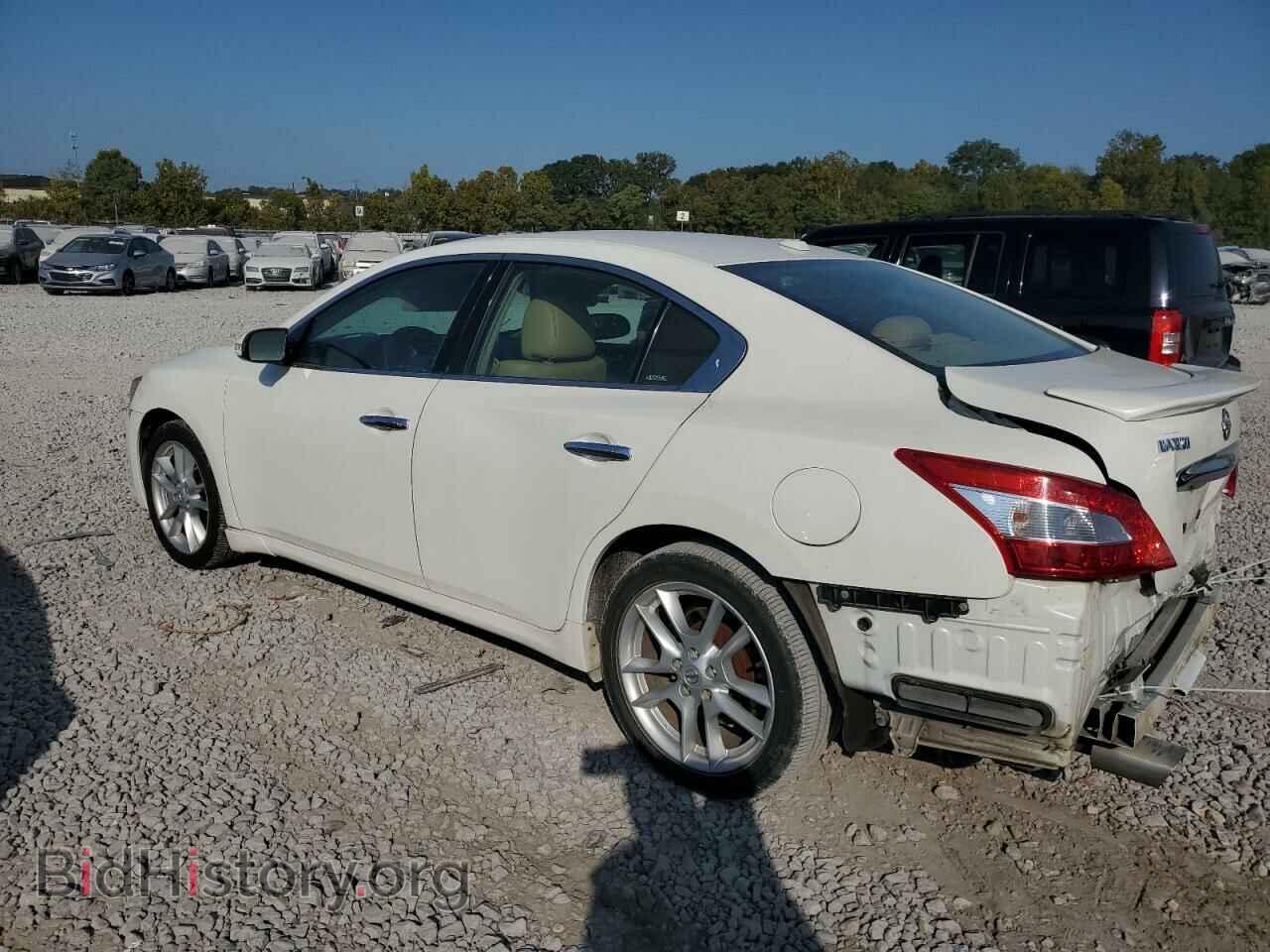 2010 NISSAN MAXIMA - VIN: 1N4AA5AP9AC868174 - Фото 2
