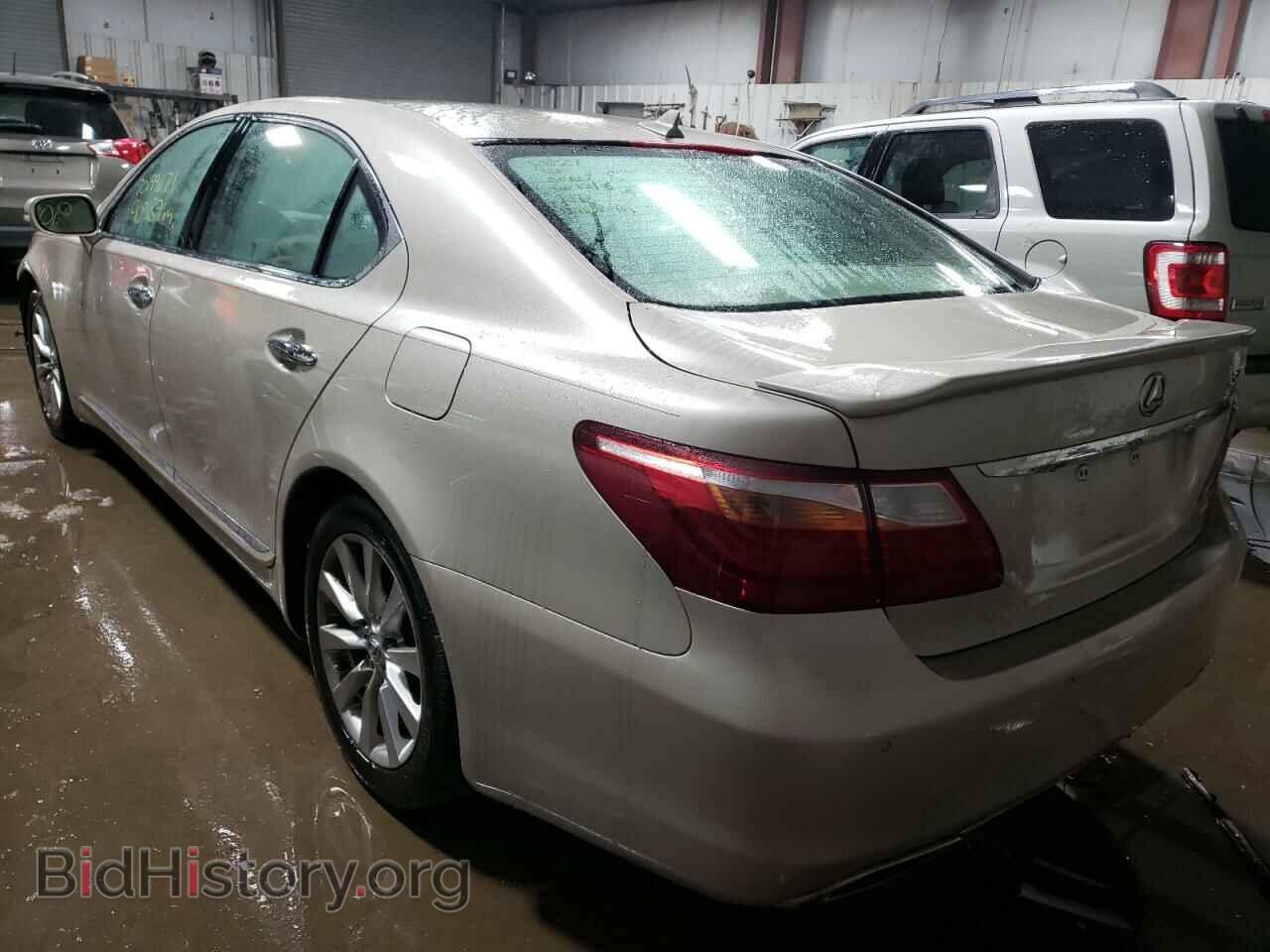 2012 LEXUS LS460 - VIN: JTHDL5EF3C5004388 - Фото 3