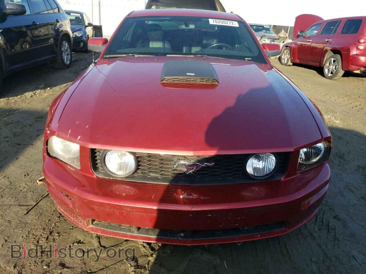 2007 FORD MUSTANG - VIN: 1ZVFT82H175203315 - Фото 5